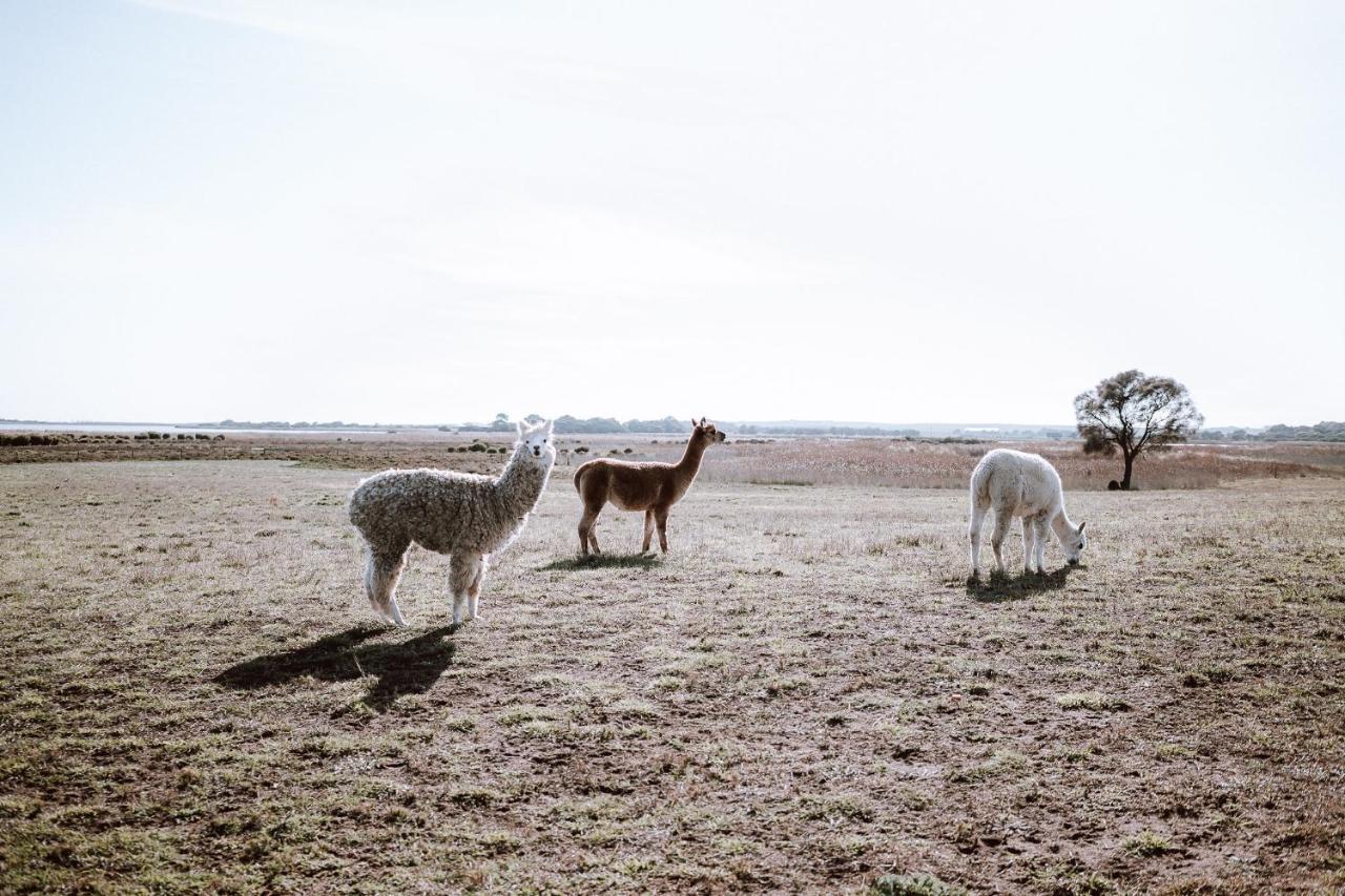 Coorong Island Retreat - Farm Stay At Pet Friendly Property Meningie Exterior foto