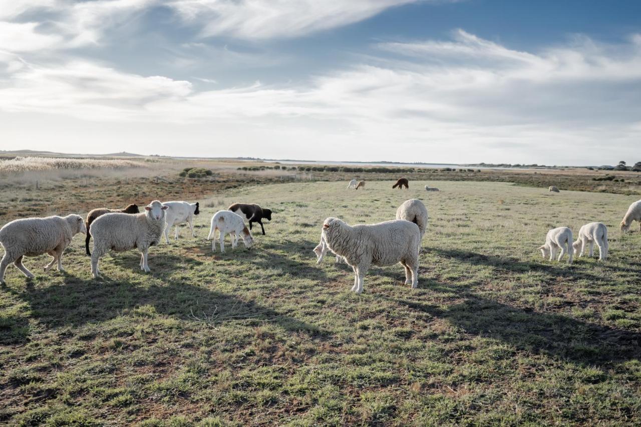 Coorong Island Retreat - Farm Stay At Pet Friendly Property Meningie Exterior foto